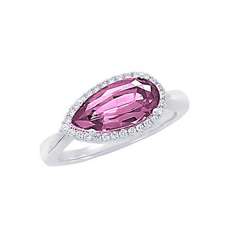 Blue and Pink Sapphire in a Diamond Encrusted Ring in 14k white gold  (SSR-5615)